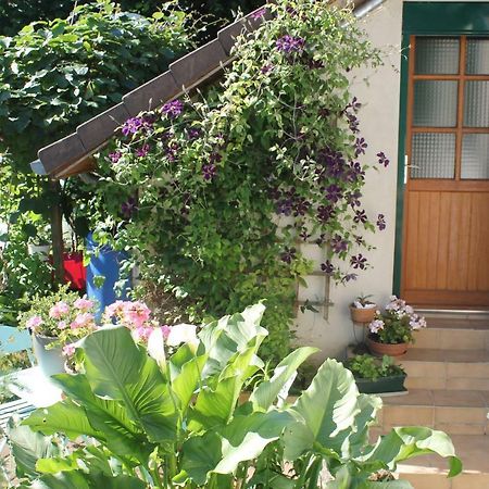Chambre D'Hotes "Orchidees" Nogent-le-Rotrou Exterior photo